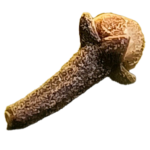 clove